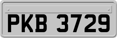 PKB3729