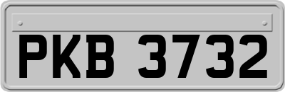 PKB3732