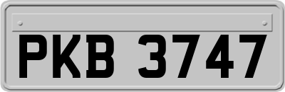 PKB3747
