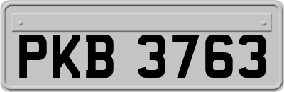 PKB3763