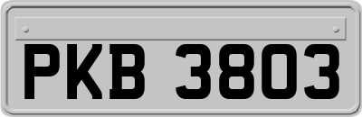 PKB3803