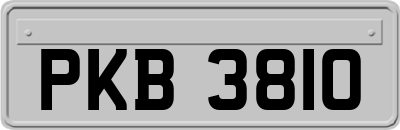 PKB3810
