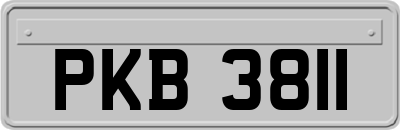 PKB3811