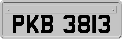 PKB3813