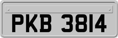 PKB3814