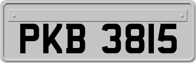 PKB3815