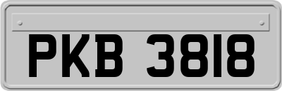 PKB3818