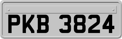 PKB3824