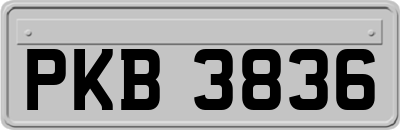 PKB3836