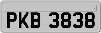 PKB3838