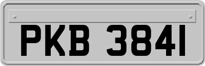 PKB3841