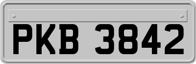 PKB3842