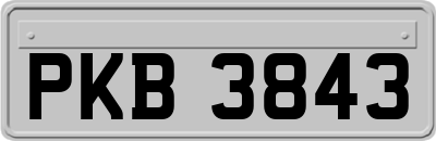 PKB3843
