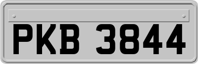 PKB3844