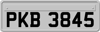 PKB3845