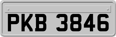 PKB3846