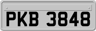 PKB3848