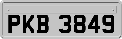 PKB3849