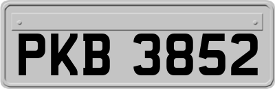 PKB3852