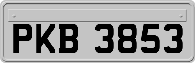 PKB3853