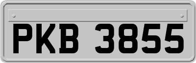PKB3855