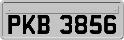 PKB3856