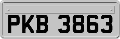 PKB3863