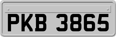 PKB3865