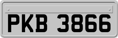 PKB3866