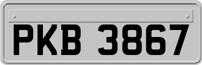 PKB3867