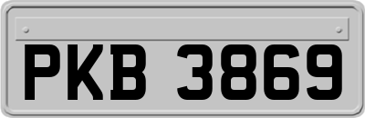 PKB3869