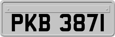 PKB3871