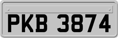 PKB3874