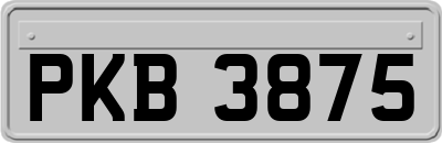 PKB3875