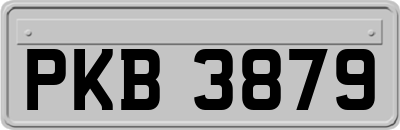 PKB3879