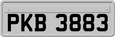 PKB3883