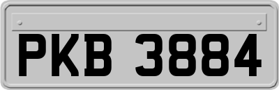 PKB3884