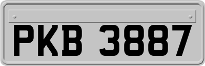 PKB3887