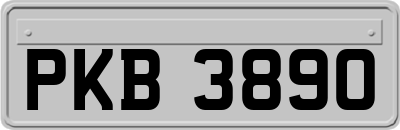 PKB3890