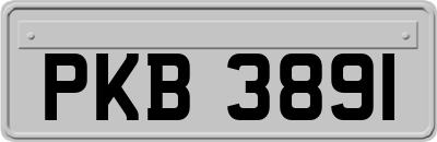 PKB3891