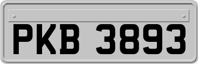 PKB3893
