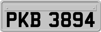 PKB3894