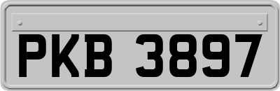 PKB3897