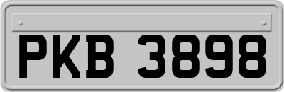 PKB3898
