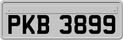 PKB3899
