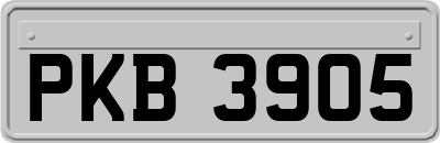 PKB3905