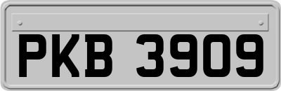 PKB3909
