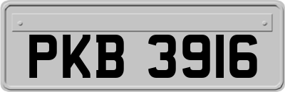 PKB3916
