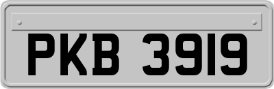 PKB3919