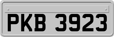 PKB3923
